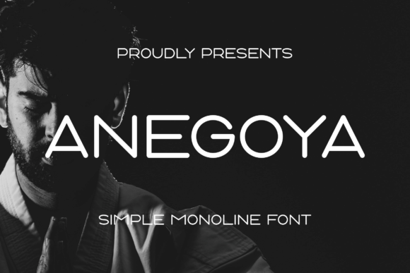 Anegoya Font: Bold Display Type for Campaigns