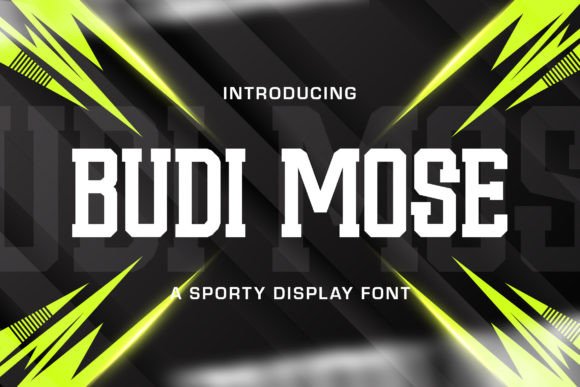 Budi Mose Font: Modern Sans Serif for Digital Design