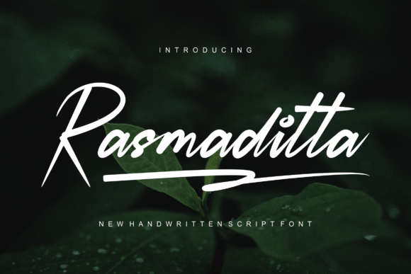 Rasmaditta Font: Bold Digital Typography for Web Layouts