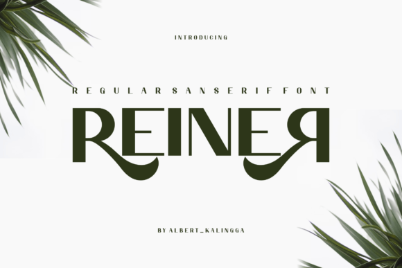 Reiner Font Review: Elevating Campaign Visuals