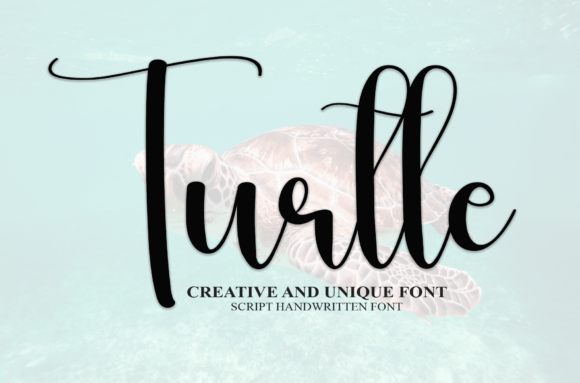 Turtle Font Review: A Handwritten Typeface for Editorial Warmth