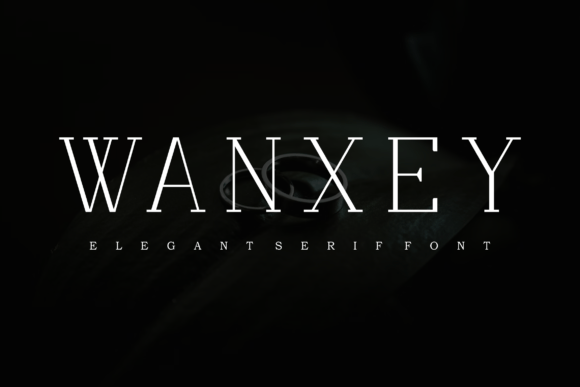 Wanxey Font Review: A Designer’s Practical Take
